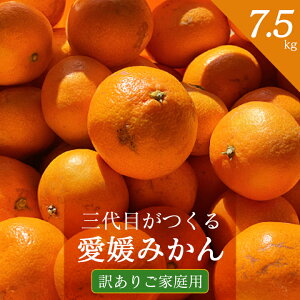 yӂ邳Ɣ[ŁzOڂ鈤Q݂ 7.5kgy󂠂(ƒp)zyD31-17z_ ~J  k k t[c ʕ  A 킯 ƒp lC  Q ls 