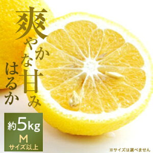 yӂ邳Ɣ[ŁzςɍLu₩ȊÂ!u͂邩v5kgyC28-20zyzsnFzy1046133z