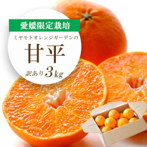 yӂ邳Ɣ[Łzy2026N2菇zQ͔|k Õ(؂) 2kg / 3kg y󂠂z_ ݂ ~J  Õ ؂ 󂠂 ʕ  t[c fU[g Â  