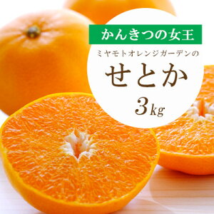 yӂ邳Ɣ[Łzy2026N2ȍ~zƂ낯Zʓ Ƃ (1.5kg/2kg/3kg) QlY_ Ƃ k t[c ʕ  ݂ lC   Q l Z Â 