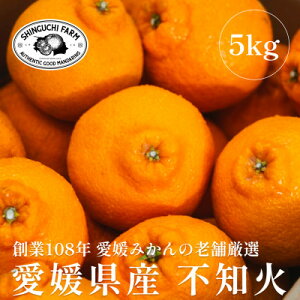 yӂ邳Ɣ[ŁznƕSN Q݂̘V܁ysm΁z 3kg / 5kg ƒpyV_zyG1470656z