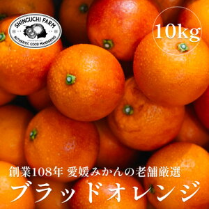 yӂ邳Ɣ[ŁznƕSN Q݂̘V܁yubhIWz 3kg / 5kg / 10kg V__ ubhIW IW ^bR  ʕ  t[c fU[g  W