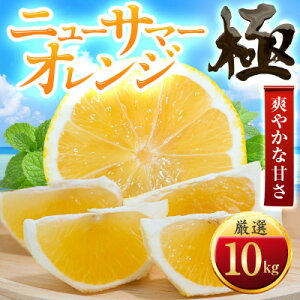 【ふるさと納税】【太陽をたっぷり浴びた】ニューサマーオレンジ【極】 4kg / 5kg / 10kg_ みかん ニューサマーオレンジ ミカン 蜜柑 にゅーさまーおれんじ 果物 くだもの フルーツ おいしい か