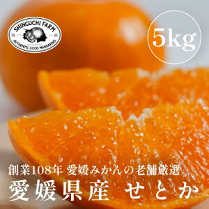 yӂ邳Ɣ[Łzk̑gyƂ 2kgz`Ƃ낯Z2kg / 3kg / 5kg_ ݂ ~J  Ƃ  k ʕ t[c Ђ Q ls  yG1451139z