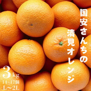 yӂ邳Ɣ[Łzy܂ŐHׂW[X!z~nizQY IW 3kgyC20-39zy1594850z