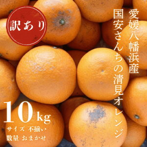 yӂ邳Ɣ[Łzy܂ŐHׂW[X!z~nizQY 󂠂 IW 10kgyF20-34zy1594861z