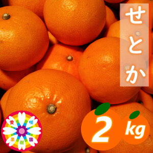 yӂ邳Ɣ[ŁzʎuƂv2kgyC71-22zy1598822z