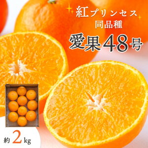 yӂ邳Ɣ[ŁzÕ×܂ǂȁugvZXvƓi!Qʎ48(1.5kg/2kg)_ ݂ ~J  ʕ  t[c fU[g gvZX   W[V[ 񂫂 