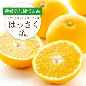 yӂ邳Ɣ[Łzy2026N2ȍ~zՂՂ!_₩ (͂)3kgyC25-187zy1609975z