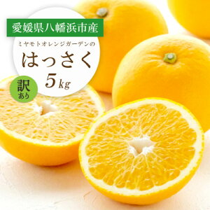 yӂ邳Ɣ[Łzy2026NzՂՂ!_₩ (͂) 5kgy󂠂zyC25-188zy1609989z