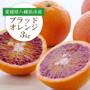 yӂ邳Ɣ[Łzy2026NzQlsY ubhIW(^bR)3kgyC25-189zy1610009z