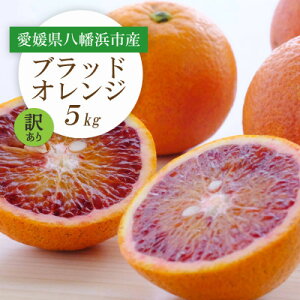 yӂ邳Ɣ[Łzy2026NzQlsY ubhIW(^bR)5kgy󂠂zyC25-190zy1610024z