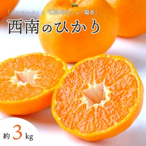 yӂ邳Ɣ[Łzy2025N12ȍ~zQlsY ̂Ђ 3kgyC25-191zy1610084z
