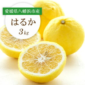 yӂ邳Ɣ[Łzy2026N2ȍ~zÂ!QlsY͂邩 3kgyC25-204zy1612464z