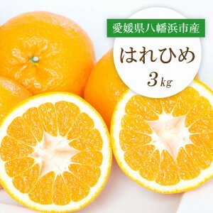 yӂ邳Ɣ[Łzy2025N12菇zQlsY ͂Ђ3kgyC25-206zy1612488z