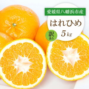 yӂ邳Ɣ[Łzy2025N12菇zQlsY ͂Ђ5kgy󂠂zyC25-207zy1612501z