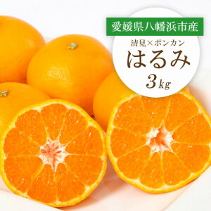 yӂ邳Ɣ[Łzy2026N2菇zQlsY ͂3kgyC25-208zy1612537z