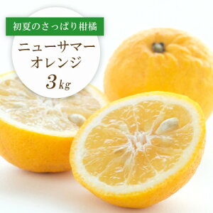 yӂ邳Ɣ[Łzy2026N4{oׁz^܂ł j[T}[IW 3kgyC25-212zy1612591z