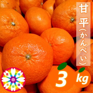yӂ邳Ɣ[Łzʎ u Õ v3kgyD71-28zy1616841z