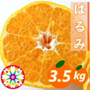 yӂ邳Ɣ[Łzʎu͂݁v3.5kgyC71-29zy1619092z
