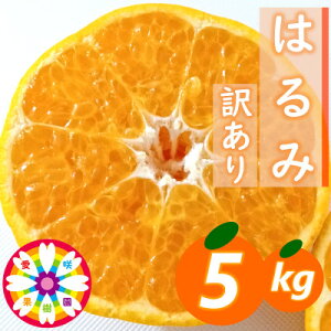 yӂ邳Ɣ[Łzʎu͂݁v󂠂5kgyC71-30zy1619095z