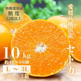 【ふるさと納税】【みかんの大トロ】糖度12.0以上 酸1.4以下 糖酸選別品 愛媛セトカ 10kg【H20-77】【1620331】