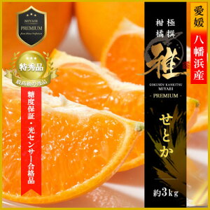 【ふるさと納税】極撰柑橘【雅プレミアム】糖度保証・光センサー合格品「 せとか 」約3キロ【D39-69】【配送不可地域:離島】【1620365】