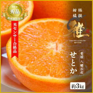 yӂ邳Ɣ[ŁzɐkyzZT[iiEk̑gu Ƃ v3LyD39-71zyzsnFzy1620367z