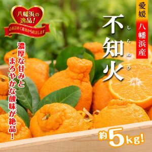 yӂ邳Ɣ[Łz2026N2`oׁ@ÂƎ_̐▭ȃoX!͂ʓusm΁v5LyD39-73zyzsnFzy1620478z