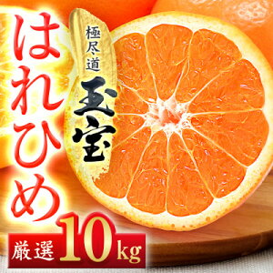 yӂ邳Ɣ[ŁzyQYzʕ͂Ђ 2kg / 4kg / 5kg / 10kg_ ݂ ͂Ђ nq ʕ ɐs Q݂̂ k ʕ  t[c   Â u₩ W[V[ 