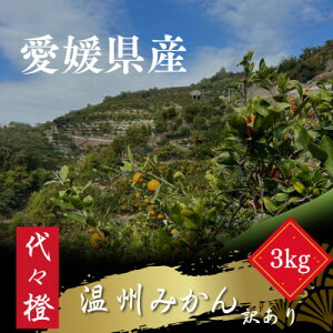 yӂ邳Ɣ[ŁzX݂3kg(ƒpETCY)yA83-33zy1623572z