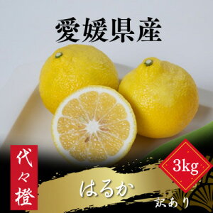 yӂ邳Ɣ[Łzyu₩ȊÂzy󂠂z͂邩 3kgyA83-35zy1623657z