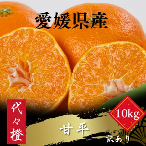yӂ邳Ɣ[ŁzyZŃVLVLÂzXÕy󂠂z10kgyH83-40zy1623739z