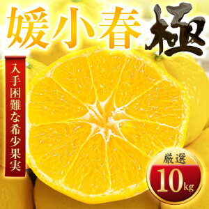 yӂ邳Ɣ[ŁzyzՂ藁тzQt(Ђ߂͂)yɁz2kg / 3kg / 5kg / 10kg_ ݂ ~J  Ђ߂͂ Qt ʕ  t[c fU[g   񂫂 