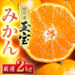 yӂ邳Ɣ[ŁzyQYzʕ݂ 2kgyA64-84zy1623967z