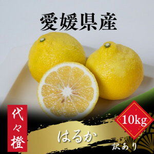 yӂ邳Ɣ[Łzyu₩ȊÂzy󂠂z͂邩 10kgyF83-46zy1625108z