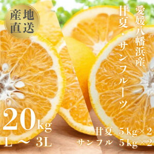 yӂ邳Ɣ[ŁzÉ&Tt[c20kg (e10kg)yH20-84zy1625127z