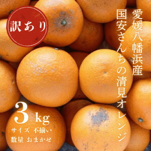 yӂ邳Ɣ[Łzy܂ŐHׂW[X!z~nizQY 󂠂 IW 3kgyC20-87zy1625400z