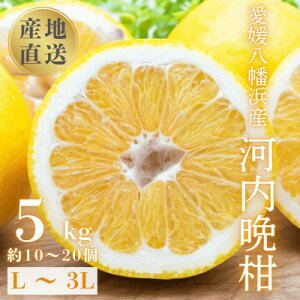 yӂ邳Ɣ[Łzsʏ`ՂW[V[tYn QlY ͓ӊ5kgyD20-89zy1625428z