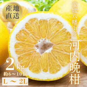 yӂ邳Ɣ[Łzsʏ`ՂW[V[tYn QlY ͓ӊ2kgyC20-90zy1625429z
