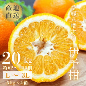 yӂ邳Ɣ[Łzyu₩Ə_炩W[V[ȉʓzQlY {ɗ\ 20kgyH20-95zy1625452z