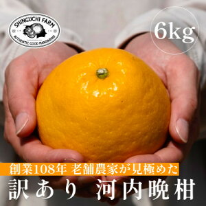 yӂ邳Ɣ[ŁzyVܔ_Ƃɂ߂z󂠂 ͓ӊ 6kg Qt[c{̊kyC70-83zy1625557z