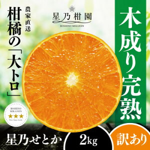 yӂ邳Ɣ[Łzy󂠂zTƂ k̑g(2kg)yC45-92zy1625775z