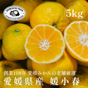 yӂ邳Ɣ[ŁzyF̂ɋ̊ÂzQt 2kg / 3kg / 5kg yVܔ_ƌIz_ ݂ ~J  Qt ʕ  t[c fU[g  Â 񂫂 k k Y 