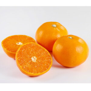 yӂ邳Ɣ[ŁzƂ1.5kg(Gi)yC21-43zy1647048z