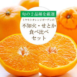yӂ邳Ɣ[ŁzQ̐lC2iZbg!ƂEsm Hהׁy󂠂zyD25-195zyŔzzy4066396z