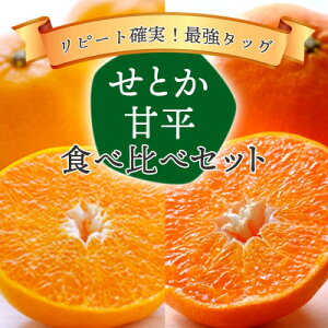 yӂ邳Ɣ[ŁzQ̐lCkZbg!ƂEÕ Hה׃Zbgy󂠂zyF25-196zyŔzzy4066397z