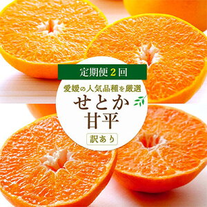 yӂ邳Ɣ[ŁzyŒցzQ̐lC2i\!ƂEÕ Hהׁy󂠂zyF25-201zS2y4066441z