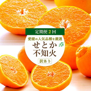 yӂ邳Ɣ[ŁzyŒցzQ̐lC2i\!ƂEsmΐHהׁy󂠂zyD25-202zS2y4066443z