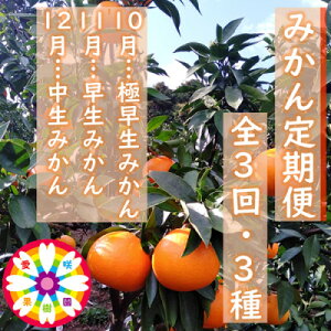 yӂ邳Ɣ[ŁzyŒցzʎu݂ցv(10`12)yG71-31zS3y4069036z